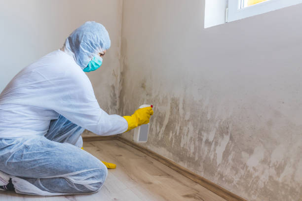 Hvac And Air Duct Mold Remediation inspection of HVAC system in Walkersville