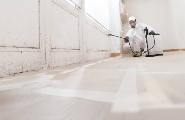 Black mold remediation team in Walkersville